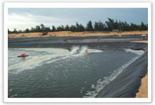 ��ˮ�B(y��ng)ֳĤ